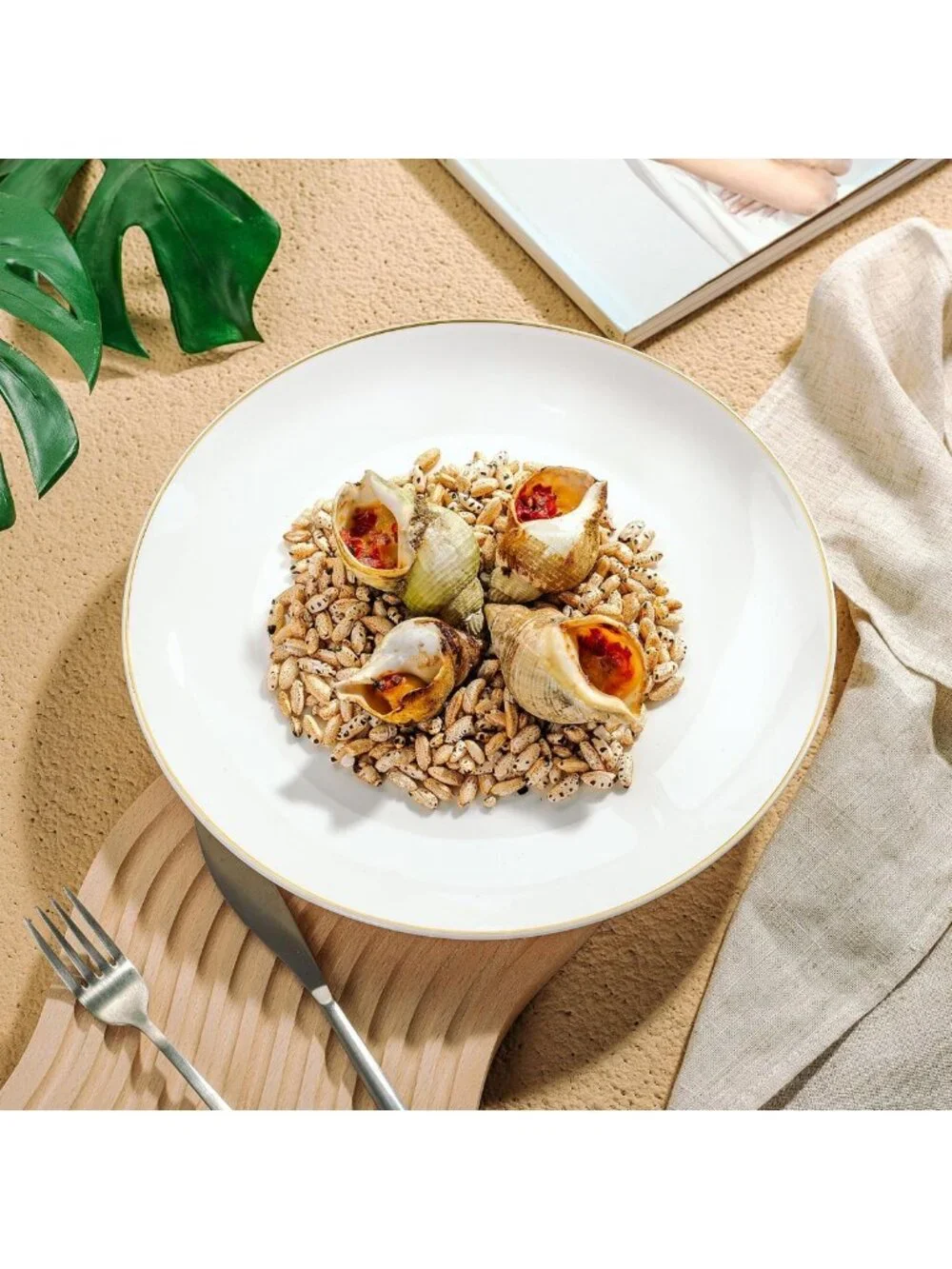 Elegant White Porcelain Dinner Plates Set of 12 - 10.5